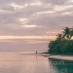 Avatar de Mauricio Soria